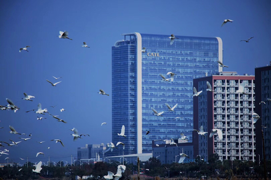 獨(dú)角獸寧德時(shí)代正式登陸創(chuàng)業(yè)板 引領(lǐng)動(dòng)力電池行業(yè)時(shí)代變革 獨(dú)角獸寧德時(shí)代正式登陸創(chuàng)業(yè)板 引領(lǐng)動(dòng)力電池行業(yè)時(shí)代變革