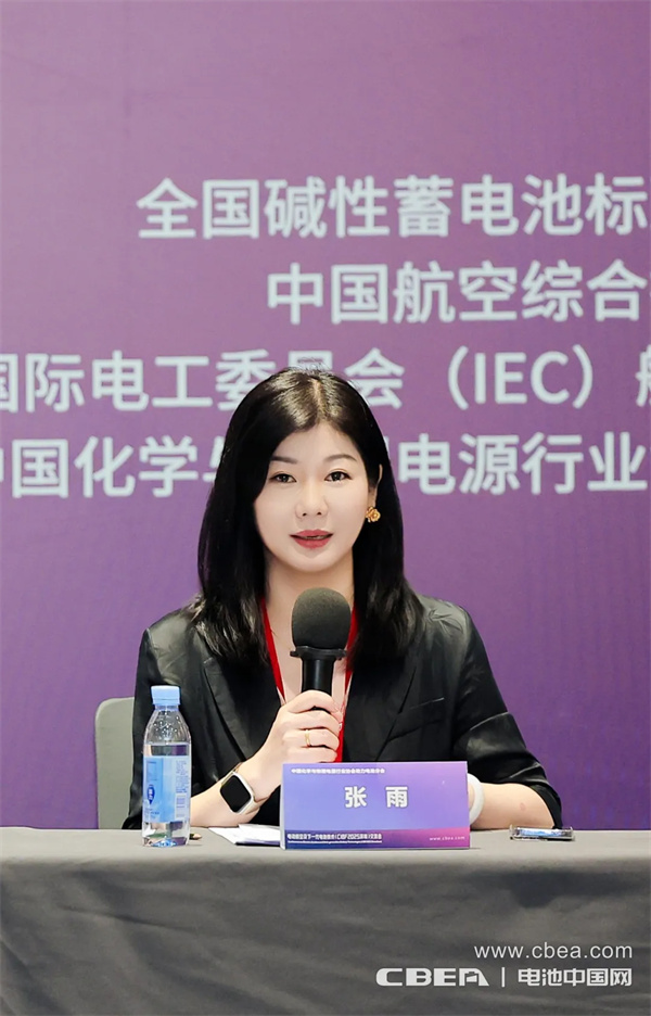 IEC飛行器電池國內(nèi)技術(shù)對(duì)口工作組第一次全體大會(huì)在深圳召開