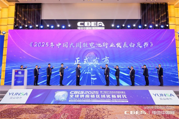 產(chǎn)業(yè)共振！大圓柱電池迎來“高光時刻”